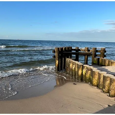 Hello Polanki Aqua Premium